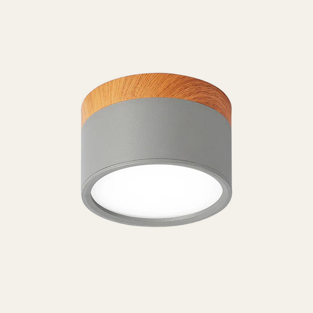 Plafondlamp met cilindervormige behuizing en rond licht