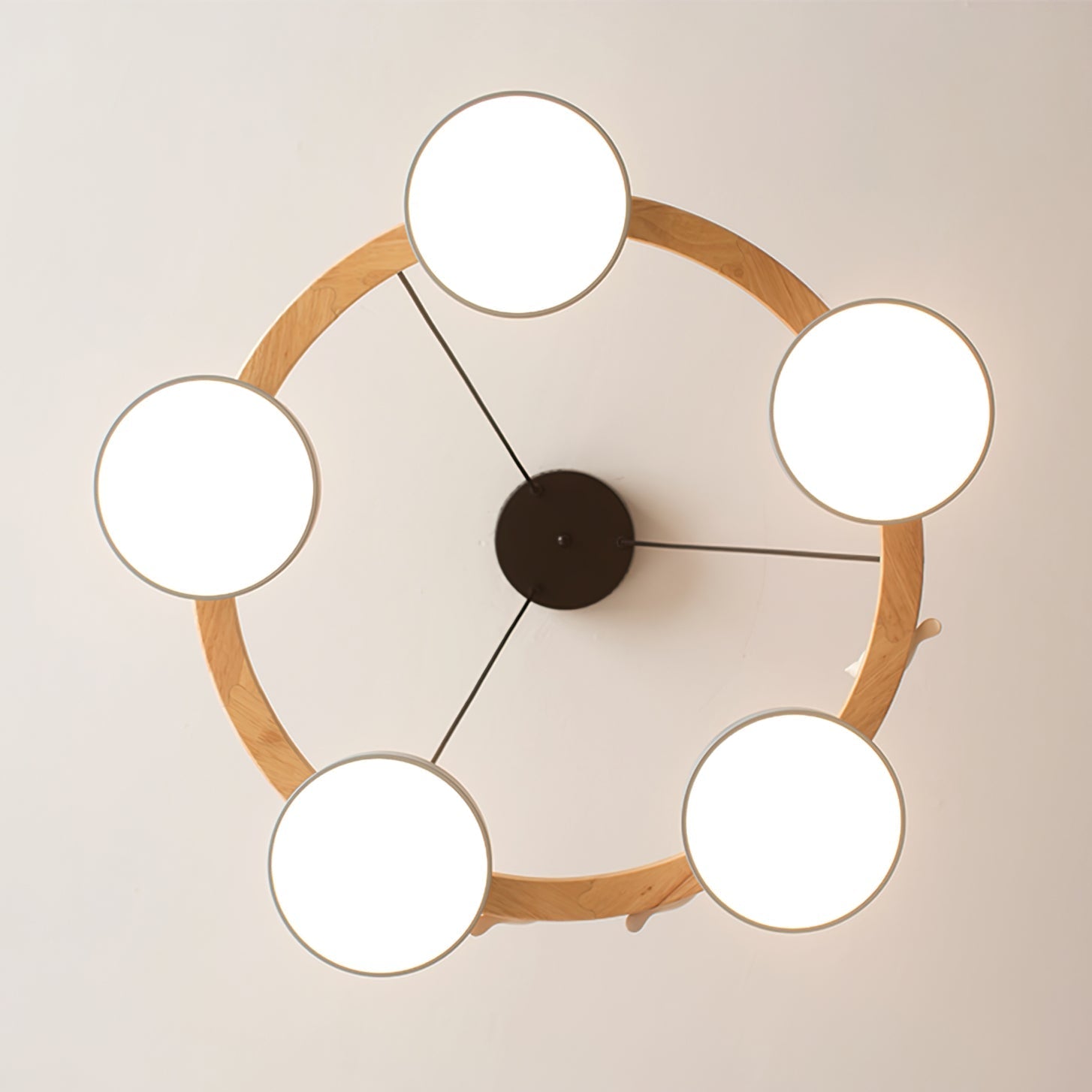 Ronde hanglamp met vogels en ronde modules