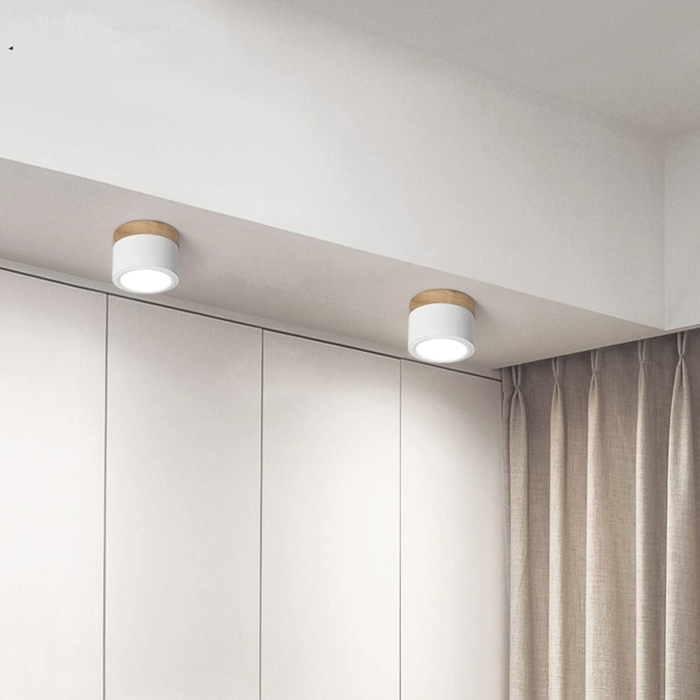 Plafondlamp met cilindervormige behuizing en rond licht