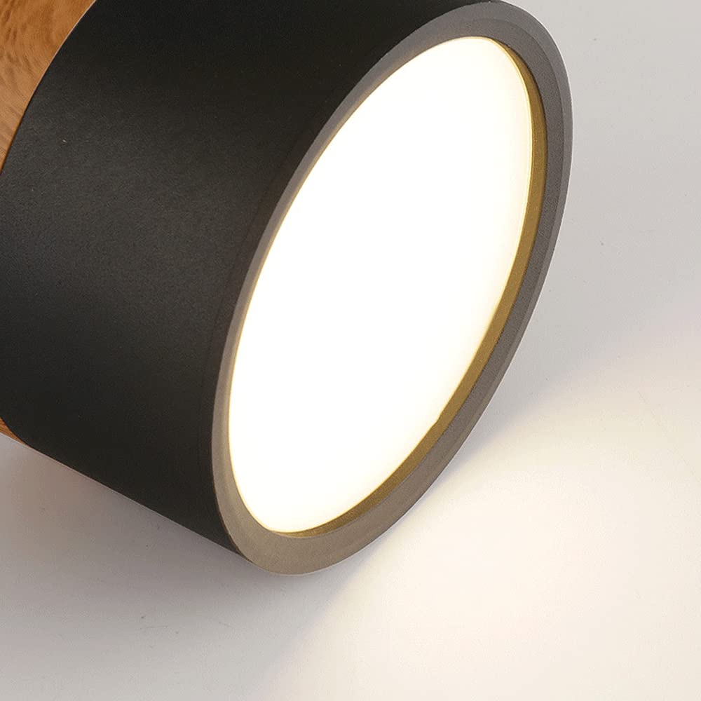 Plafondlamp met cilindervormige behuizing en rond licht